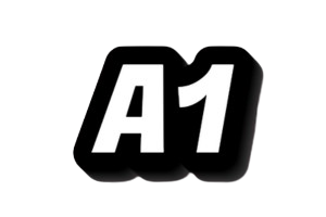 A1